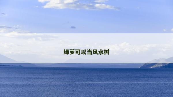 綠蘿可以當(dāng)風(fēng)水樹(shù)
