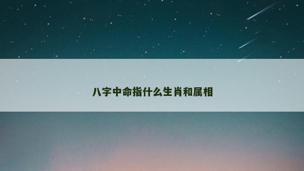 八字中命指什么生肖和屬相