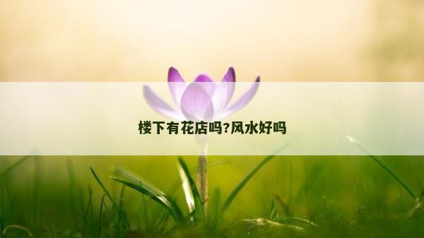 樓下有花店嗎?風水好嗎