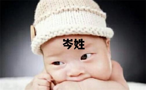岑姓有智慧才氣的女孩名字,取什么名字好