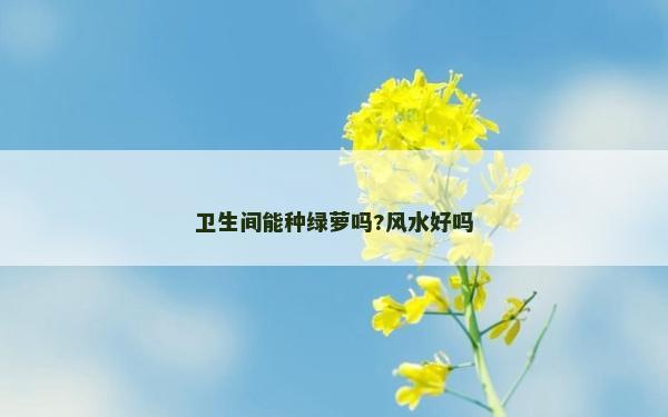衛生間能種綠蘿嗎?風水好嗎