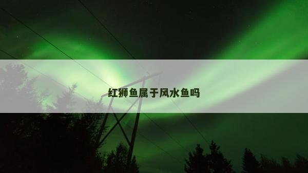 紅獅魚屬于風水魚嗎