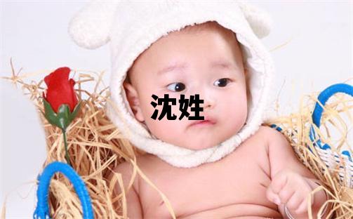 沈姓有智慧才氣的女孩名字