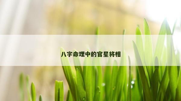 八字命理中的官星將相