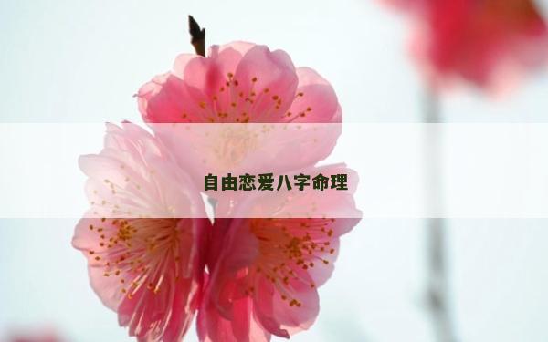 自由戀愛八字命理