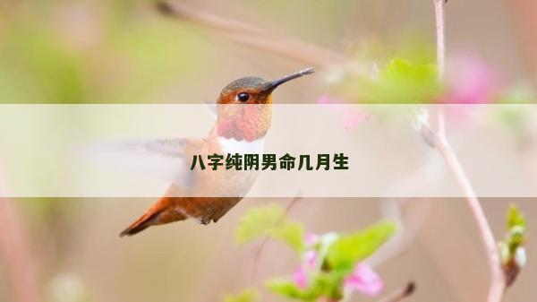 八字純陰男命幾月生