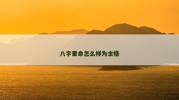 八字里命怎么樣為主格