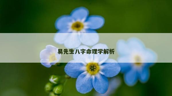 易先生八字命理學解析