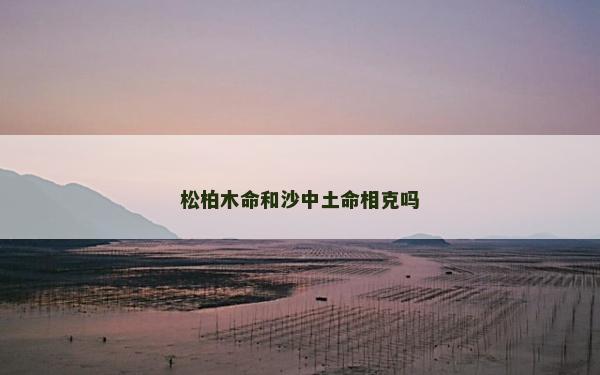 松柏木命和沙中土命相克嗎