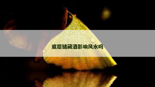 底層儲藏酒影響風水嗎