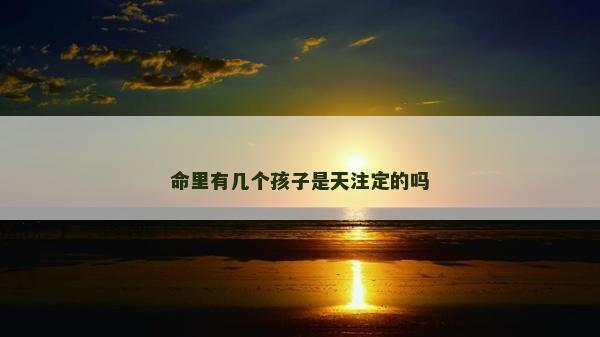 命里有幾個孩子是天注定的嗎
