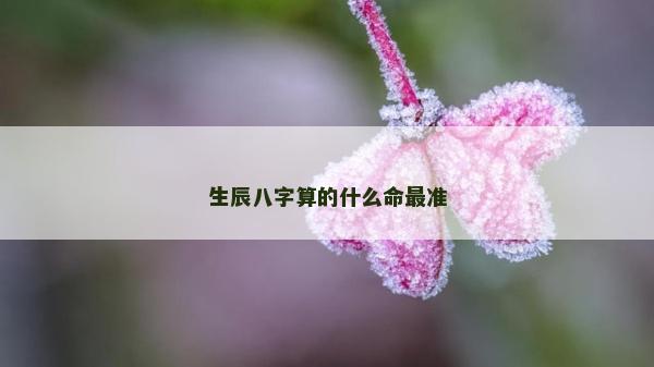 生辰八字算的什么命最準