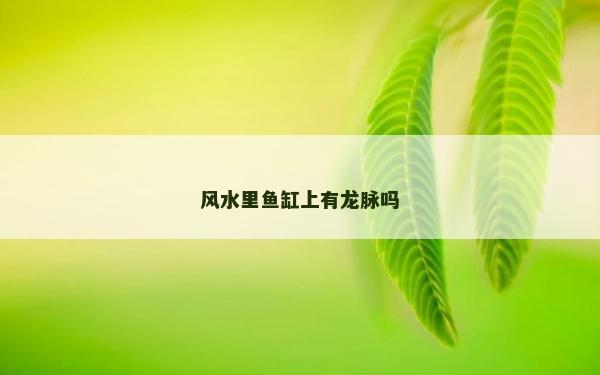 風水里魚缸上有龍脈嗎