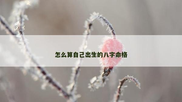 怎么算自己出生的八字命格 怎么算自己出生的八字命格