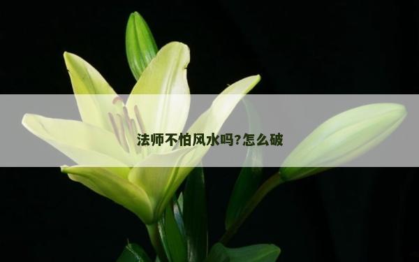 法師不怕風水嗎?怎么破