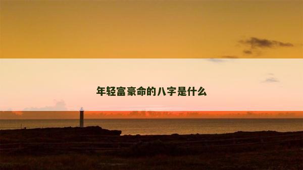 年輕富豪命的八字是什么