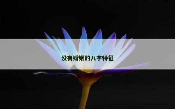 沒有婚姻的八字特征