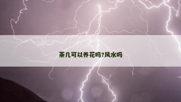 茶幾可以養花嗎?風水嗎