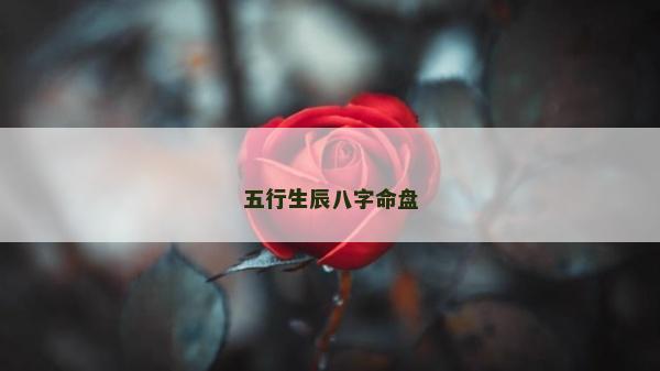 五行生辰八字命盤