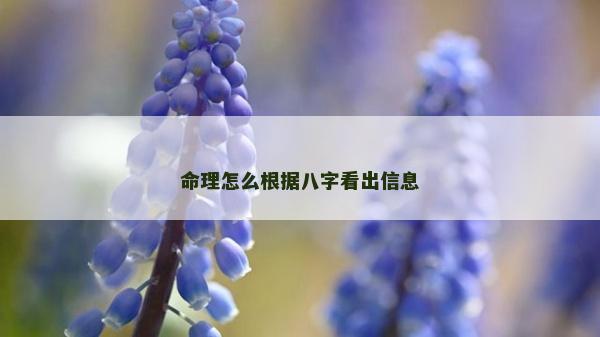 命理怎么根據(jù)八字看出信息