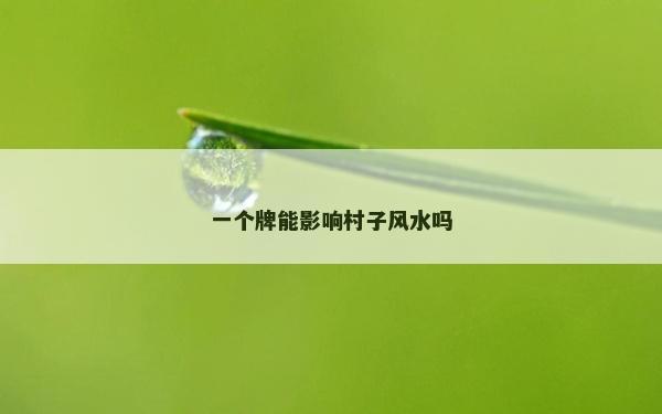 一個牌能影響村子風水嗎