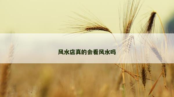 風(fēng)水店真的會看風(fēng)水嗎