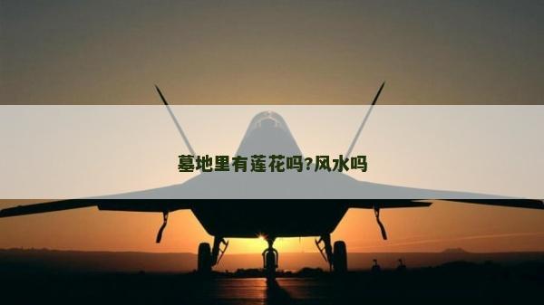 墓地里有蓮花嗎?風水嗎
