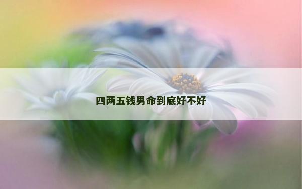 四兩五錢(qián)男命到底好不好