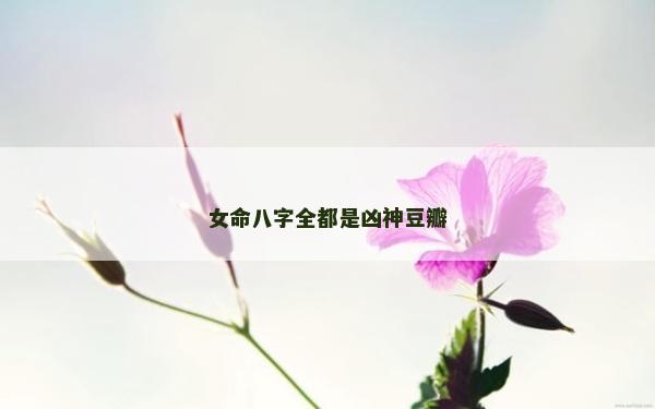 女命八字全都是兇神豆瓣