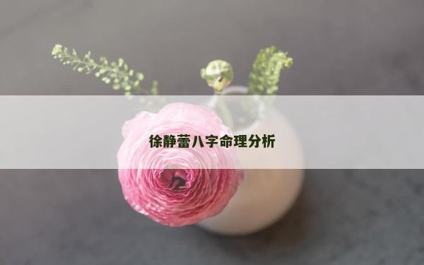 徐靜蕾八字命理分析