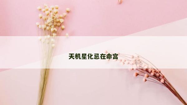 天機星化忌在命宮