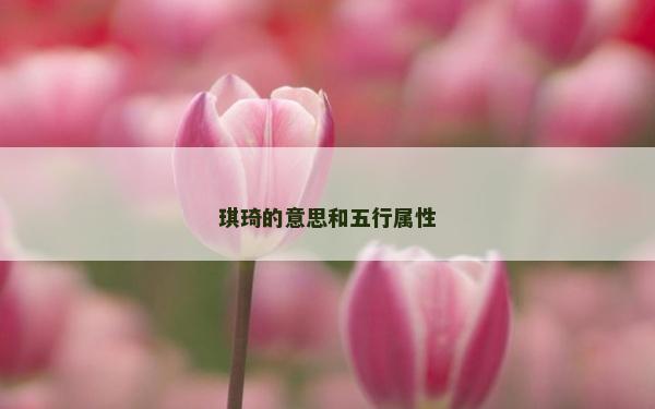 琪琦的意思和五行屬性