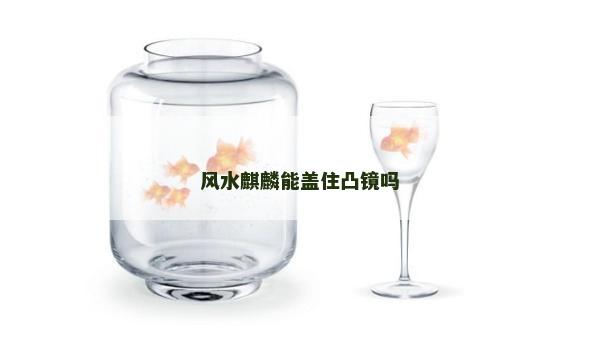 風(fēng)水麒麟能蓋住凸鏡嗎