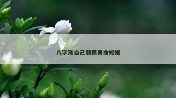 八字測(cè)自己顏值男命婚姻