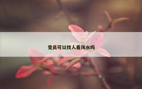 黨員可以找人看風(fēng)水嗎 黨員可以找人看風(fēng)水嗎