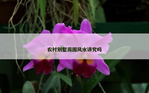 農村別墅周圍風水講究嗎