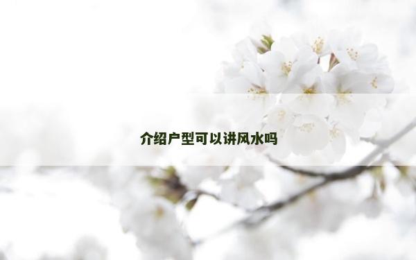 介紹戶型可以講風水嗎