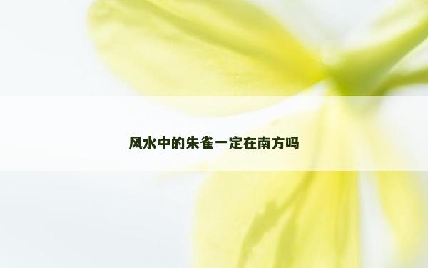 風水中的朱雀一定在南方嗎 風水中的朱雀一定在南方嗎