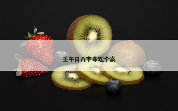 壬午日八字命理個案