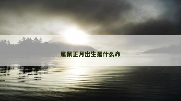 屬鼠正月出生是什么命