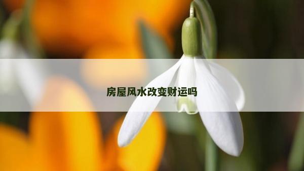 房屋風水改變財運嗎