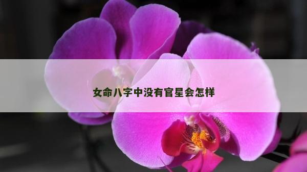 女命八字中沒有官星會怎樣