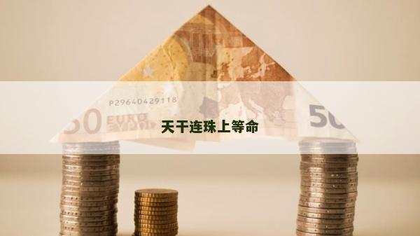 天干連珠上等命 天干連珠上等命