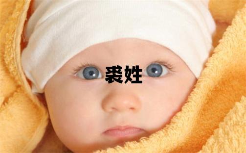 裘姓有智慧才氣的男孩名字