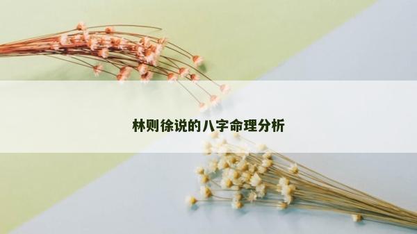 林則徐說的八字命理分析