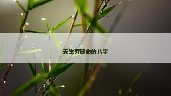 天生勞碌命的八字 天生勞碌命的八字