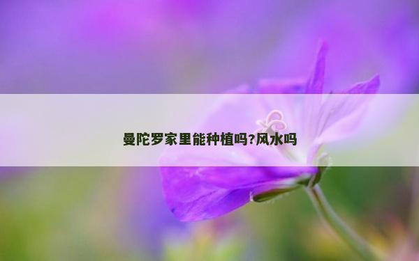 曼陀羅家里能種植嗎?風(fēng)水嗎 曼陀羅家里能種植嗎?風(fēng)水嗎