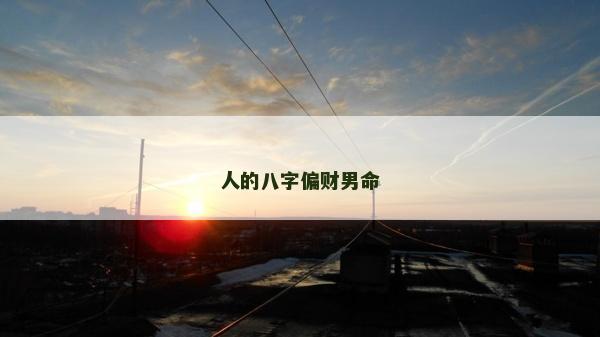人的八字偏財男命
