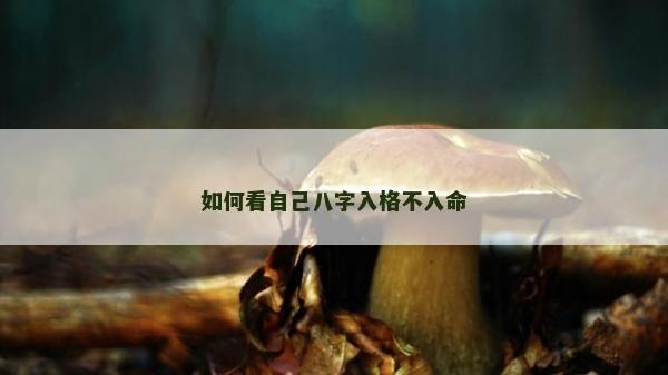 如何看自己八字入格不入命 如何看自己八字入格不入命