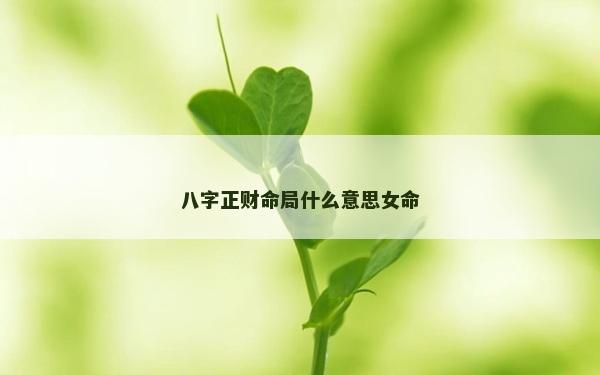 八字正財(cái)命局什么意思女命